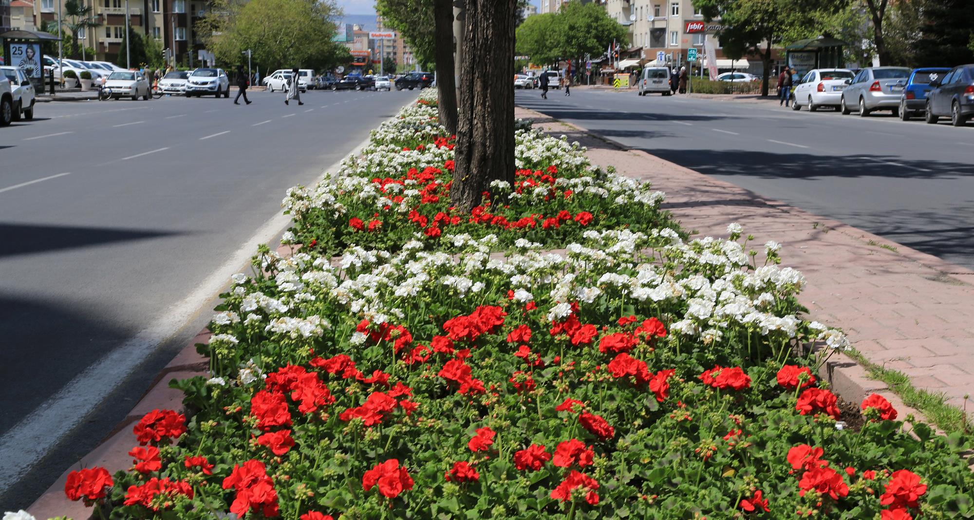 Haberler_Slayt_2792019133757166