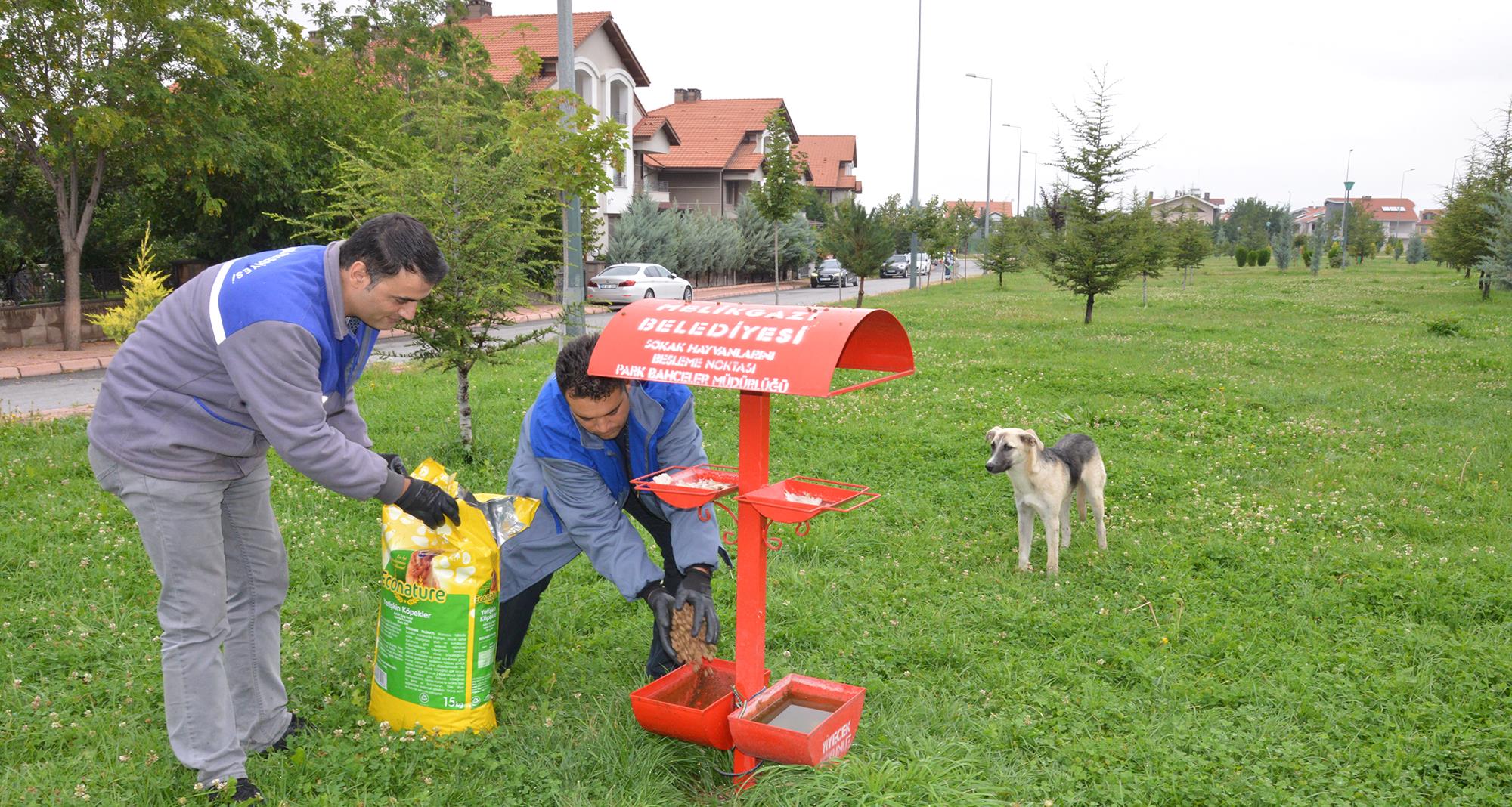 Haberler_Slayt_288201913650229