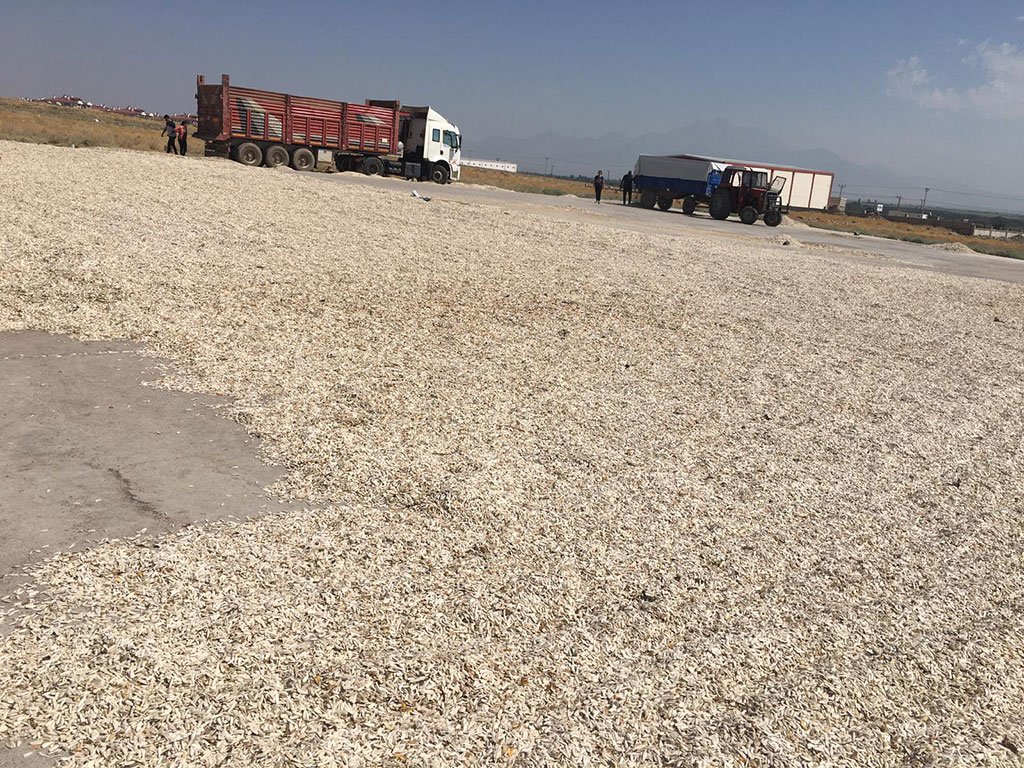 2b81aab2-492f-45a6-9060-dd495fe93464