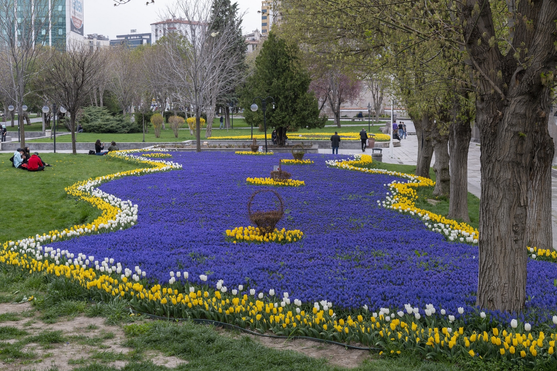 buyuksehir-ile-rengarenk-kayseri-46