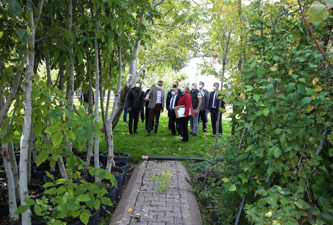 buyukkilic-fidanlik-denetledi-dikilen-cicek-sayisi-10-milyona-ulasti-31-1