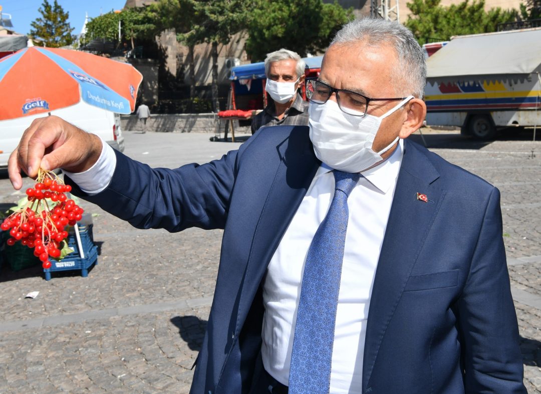 kayserinin-kirmizi-altini-gilaburuda-hasat-basladi-53