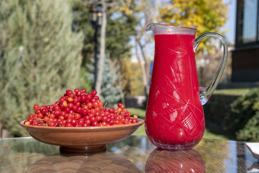 doktor-baskandan-saglik-icin-gilaburu-tavsiyesi-39